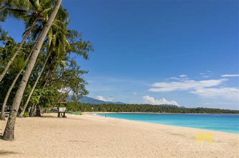 The 50 best beaches in and around Davao City .